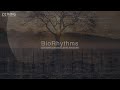 Video 1: Trailer