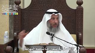 1573 - فصل في ضمان ما تتلفه البهائم - عثمان الخميس