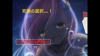 究極の選択…どっちが正しい？【メイのトバリ実況Part5】