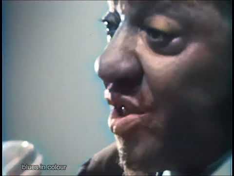 Sonny Boy Williamson II - Live in Belgium [Colourised] 1963