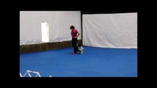 Flanery & Kashi Baby Elephant Walk