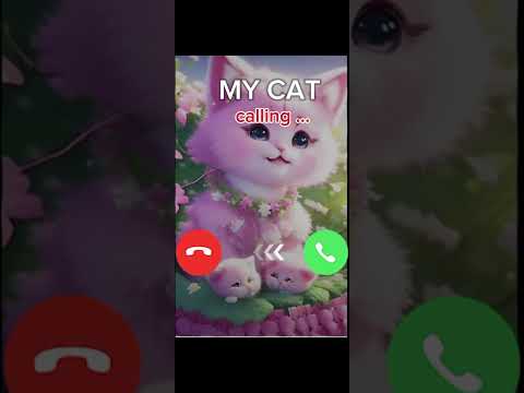 my cat calling at 6 am 🤣😂 and phone ringing 💫 ringtone to your cat 😺