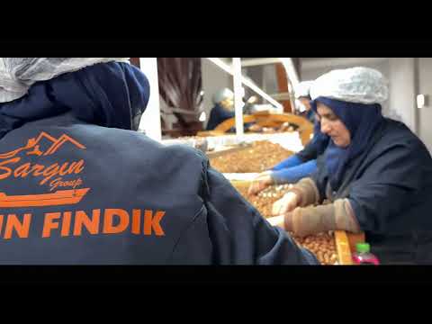 Sargın Fındık Entegre Tesisleri - Tanıtım Video