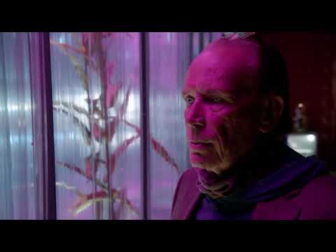 tls 'I'll explain it one more time