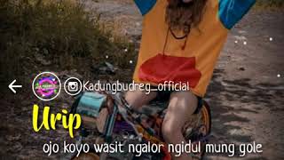 Download lagu Story WA, ngopi o ben uripmu rodok tenang mp3