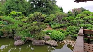 An Unusual Look at Japanese Garden  Design