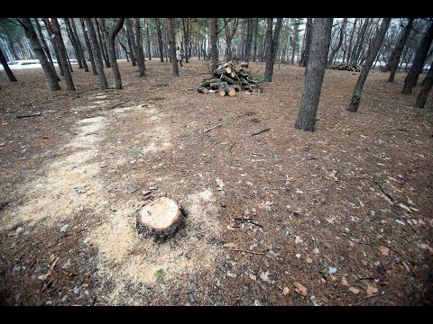 В парке «Танаис» «Поляна сказок» превратилась в царство мусора