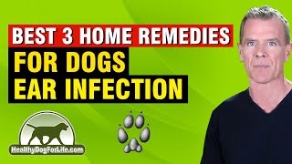 Dog Ear Infection Home Remedy (3 NATURAL Ways That WORK)