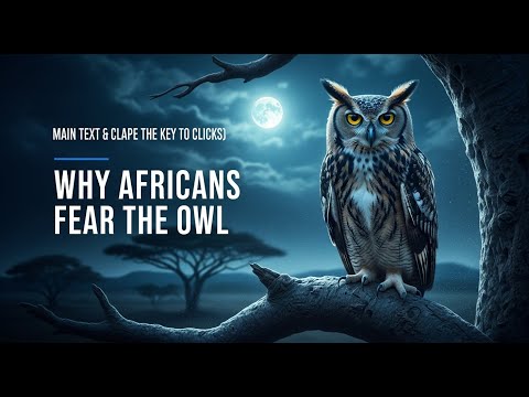 In African culture, owls have always been considered mystical creatures