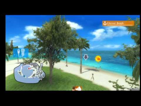 go vacation wii solution