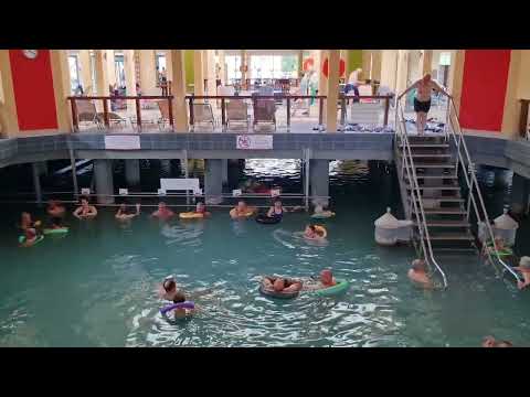 Thermal Lake of Hévíz Hungry