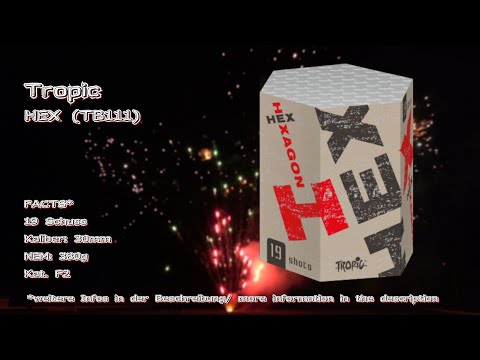 Tropic - HEX TB111  |  Schöner Effekt  |  Blinker  |  Feuertopf  |  Großes Bukett  |  4k