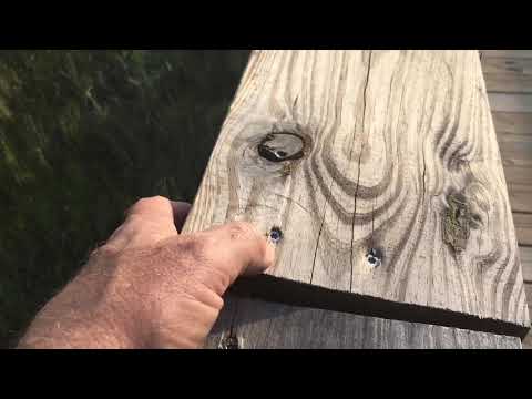 How To Properly Install Pressure Treated Wood Deck Boards.