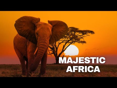 African Safari Enduring Hope - Daniel Deuschle - Scenic Wildlife Film
