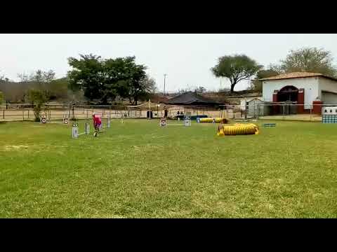 Cody   María Elena Pérez   Tunnel Jacks   Mayo 2019