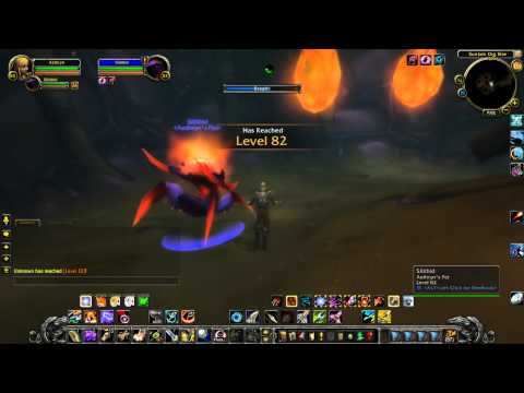 NEW Cataclysm Hunter Pet: HIVE CONTROLLER