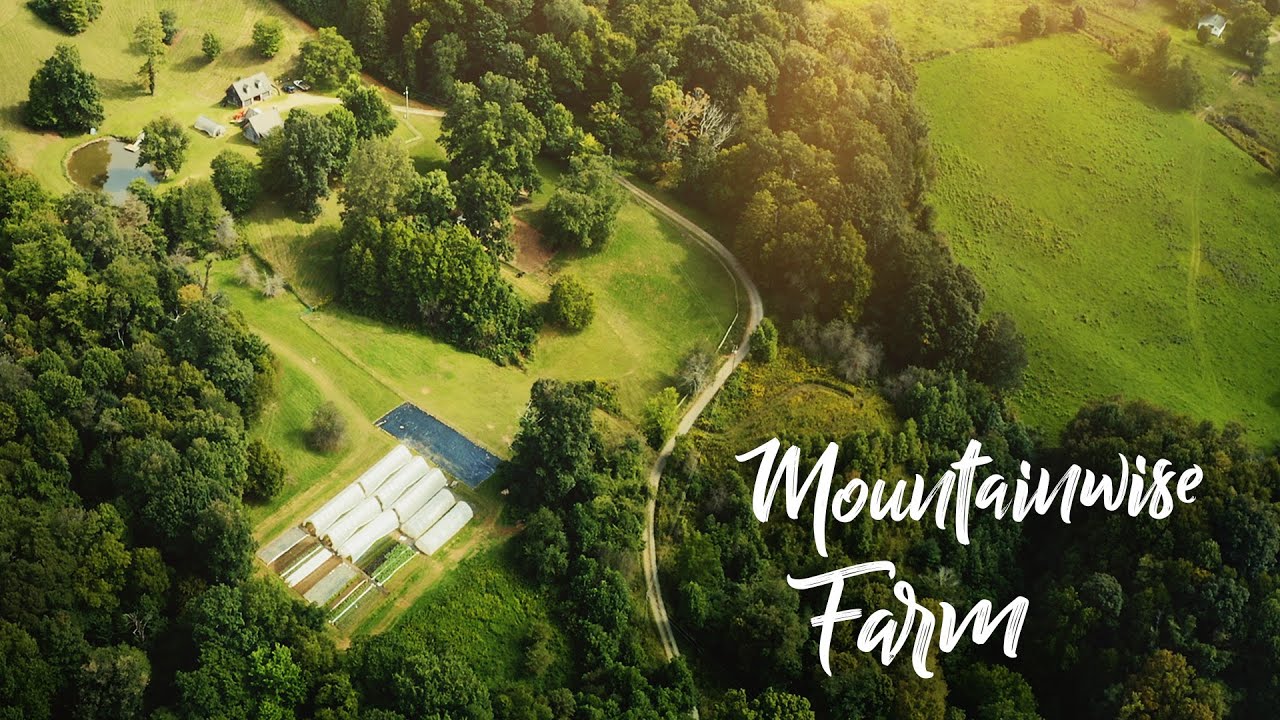 Caterpillar Tunnels Save Mountainside Farm in Temperate Rainforest