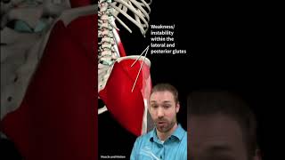 Best Exercises For Tight/Painful Hip Flexors 