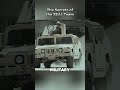 The Dark Truth Behind The SEALs Skull Logo Film Movie Shorts