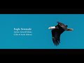 Eagle Serenade Airswe Airwolf Music