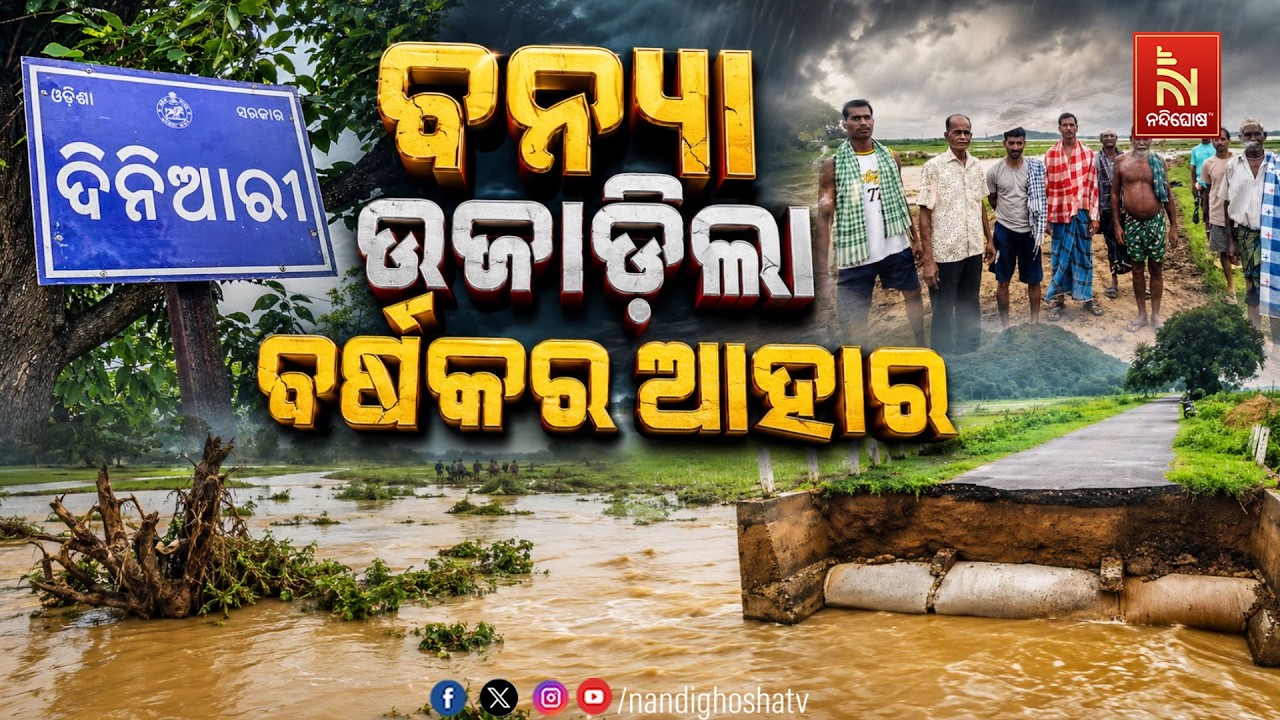 🔴Live | ବନ୍ୟା ଉଜାଡ଼ିଲା ବର୍ଷକର ଆହାର | Flood | NandighoshaTV