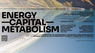 Martín Arboleda, Julia Mead, and Niu Teo | Geopolitical Economies of Energy