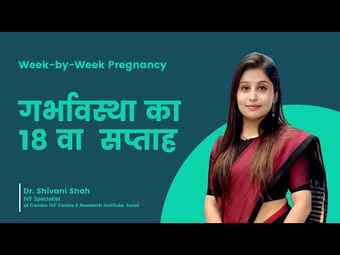 18th Week Pregnancy | 18 सप्ताह की गर्भावस्था | What to Expect?| Dr.Shivani Shah | Candor IVF Center
