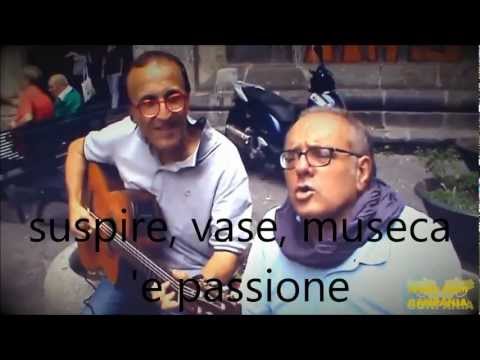 Dduje Paravise video
