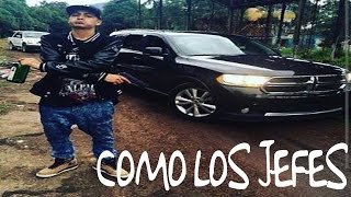 ALEMÁN - LEVANTON | EDITADO SEÑOR 420 | YOUTUBE