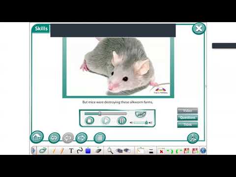 Excel 8 Ex 1 p80 Island Destinations with a difference