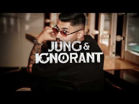 ZYMBA - JUNG & IGNORANT (Visualizer) Prod. by Gorex