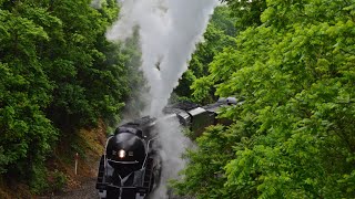 N&W 611 with Intense Wheel Slip on The Linden Grade - Linden, VA