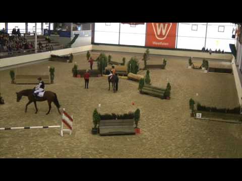 Start frei!  Praxis 1   Grundlagen der Vielseitigkeit