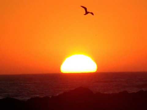 Chico Rey e Parana-Boêmio do colarinho branco