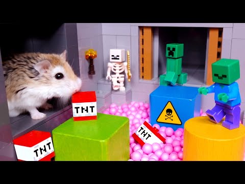 Major Hamster vs Evil Cat in Carrot Cake Hunt Adventure - Minecraft movie with pets