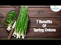Top 7 Health Benefits Of Spring Onions/Scallions