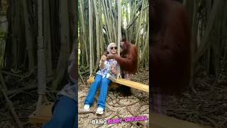 Download lagu Monyet gatal pegang boba #shorts #short mp3 Download lagu Monyet gatal pegang boba #shorts #short mp3