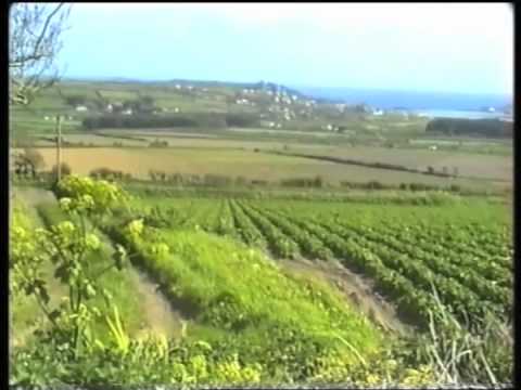 Crowlas Ludgvan Heamoor part 1