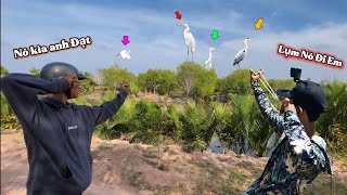 Cầm Ná Đi Săn Bất Ngờ Lạc Vào Khu Toàn Cò Khủng || Tiến Đạt SingShot