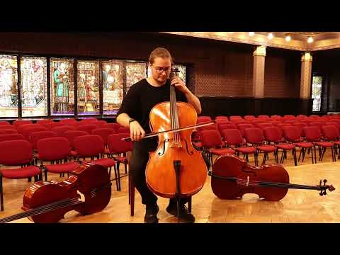 Guarneri Cello 4/4 Hand-Made in Romania 2024 #32 image 13