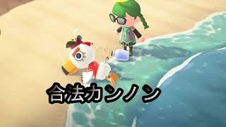 カ（ン）ノンゴウ