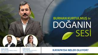 Doğanın Sesi| Kayapa'da Neler Oluyor? | Okan Aydın [Dr. Öğretim Üyesi]