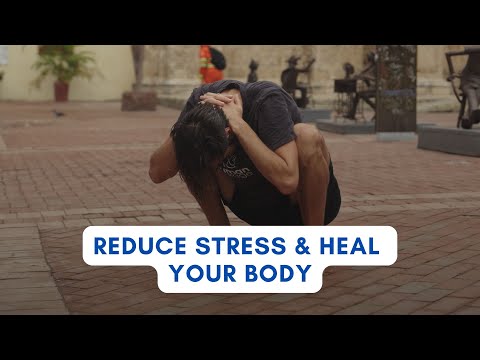 Human Garage TV and Jason van Blerk