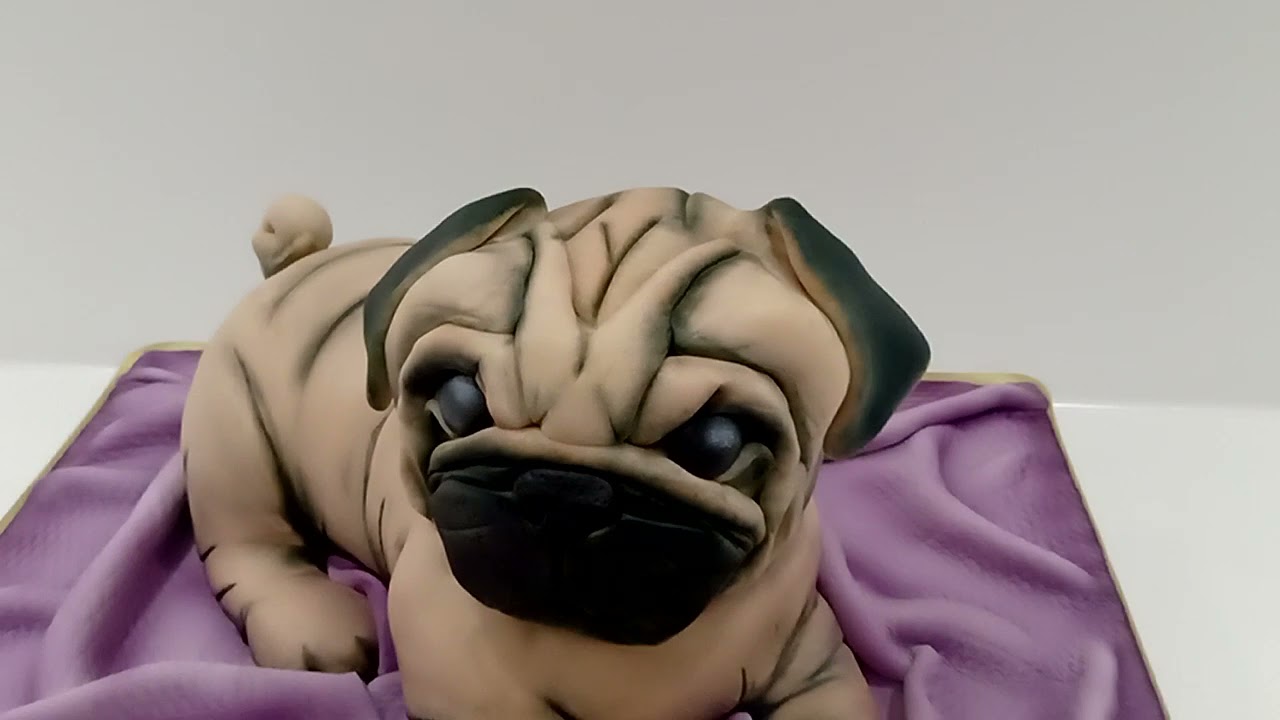 Pug cake using Molly's creature creator