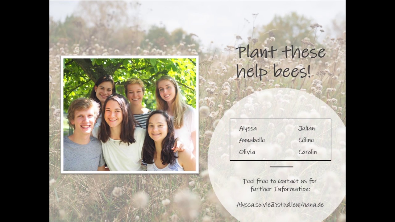Biodiversity Conservation Project: Plant These, Help Bees! - Pecha Kucha