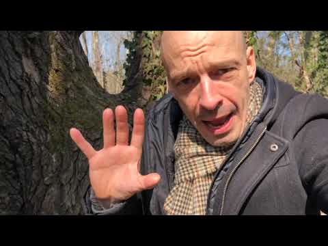 Some Thoughts on Jordan Peterson