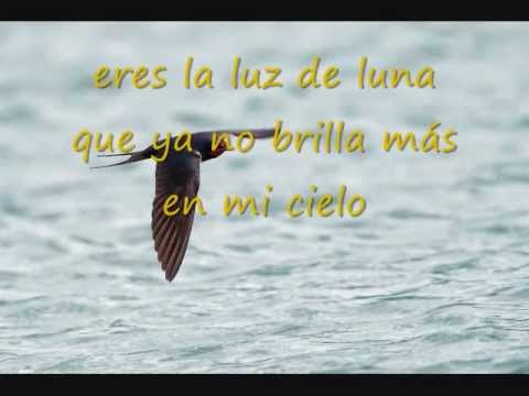 Voló La Golondrina video