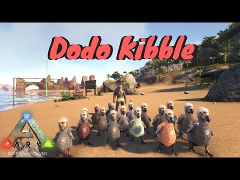 download lagu mp3 mp4 Dodo Kibble Recipe, download lagu Dodo Kibble Recipe gratis, unduh video klip Dodo Kibble Recipe