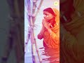 Special Chaiti Chhath Puja Status Coming Soon Chaiti Chhath Puja Status Bhojpuri Song Shorts