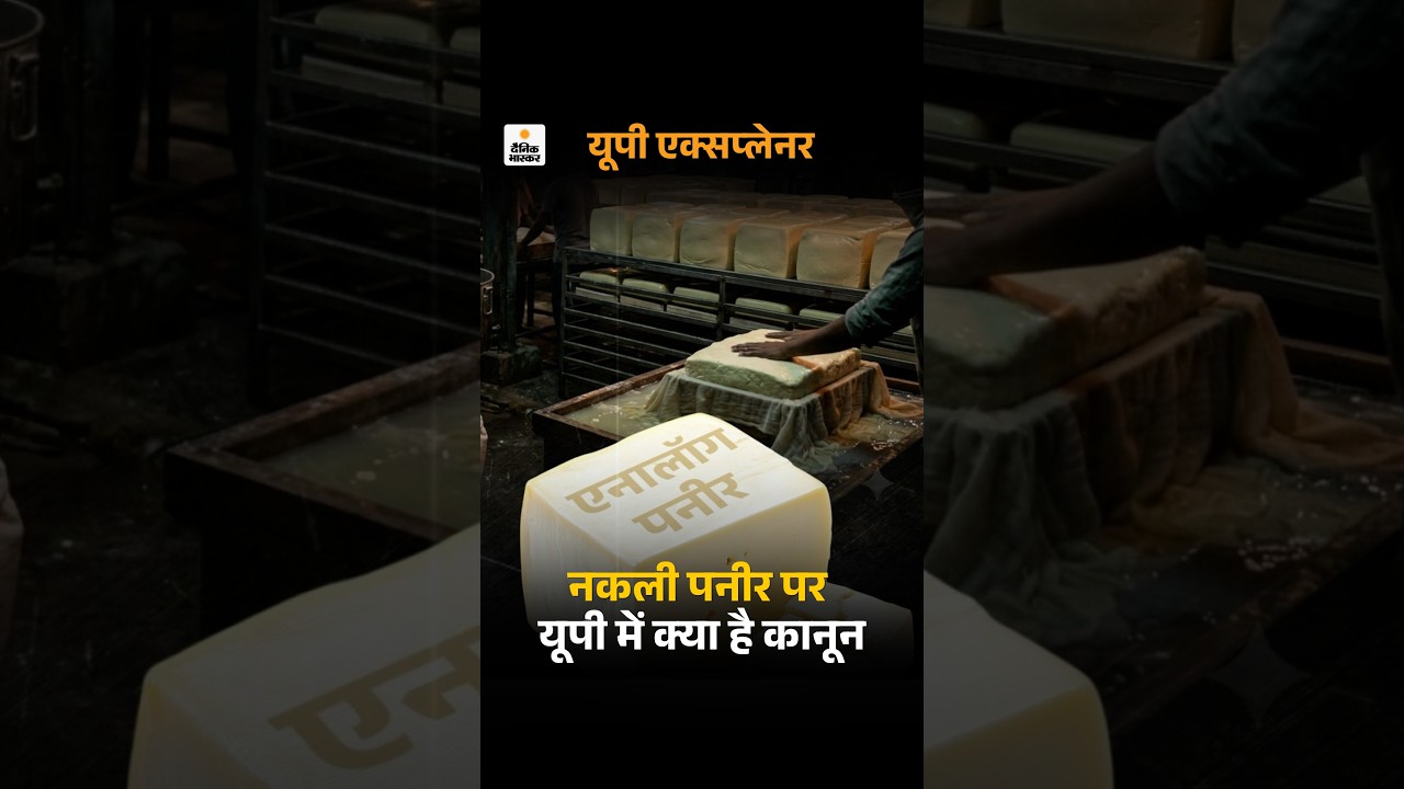 UP News : यूपी में नकली पनीर बनाना-बेचना अपराध नहीं,  क्या हैं नियम | Food safety